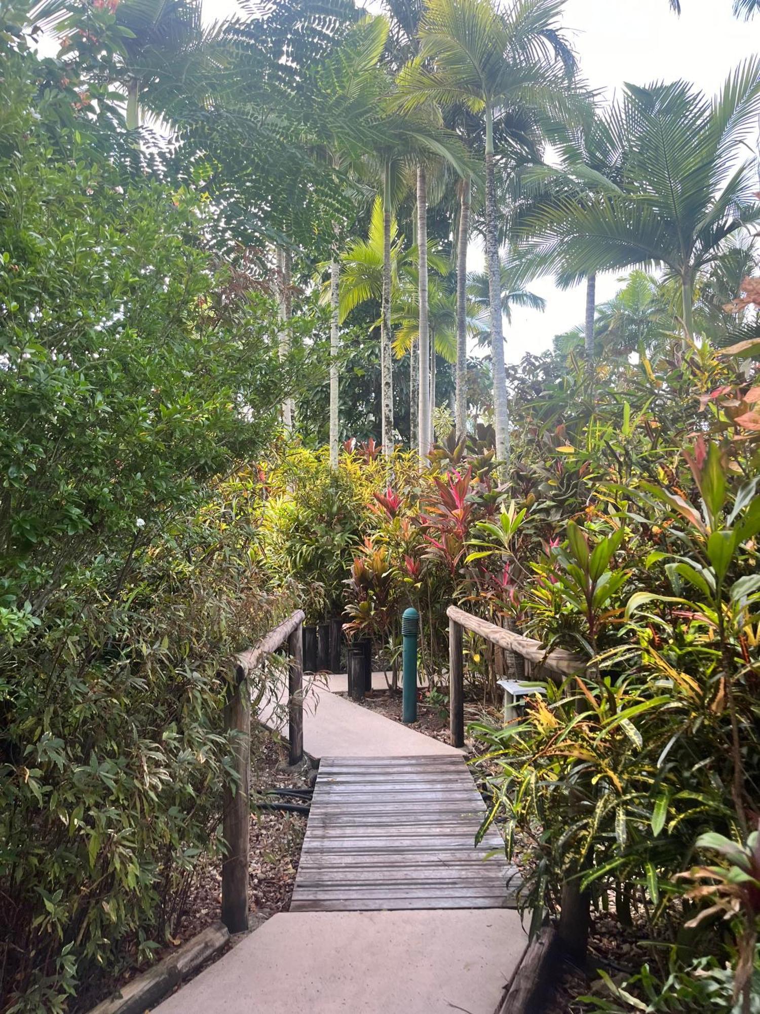 The Villas Palm Cove Zewnętrze zdjęcie