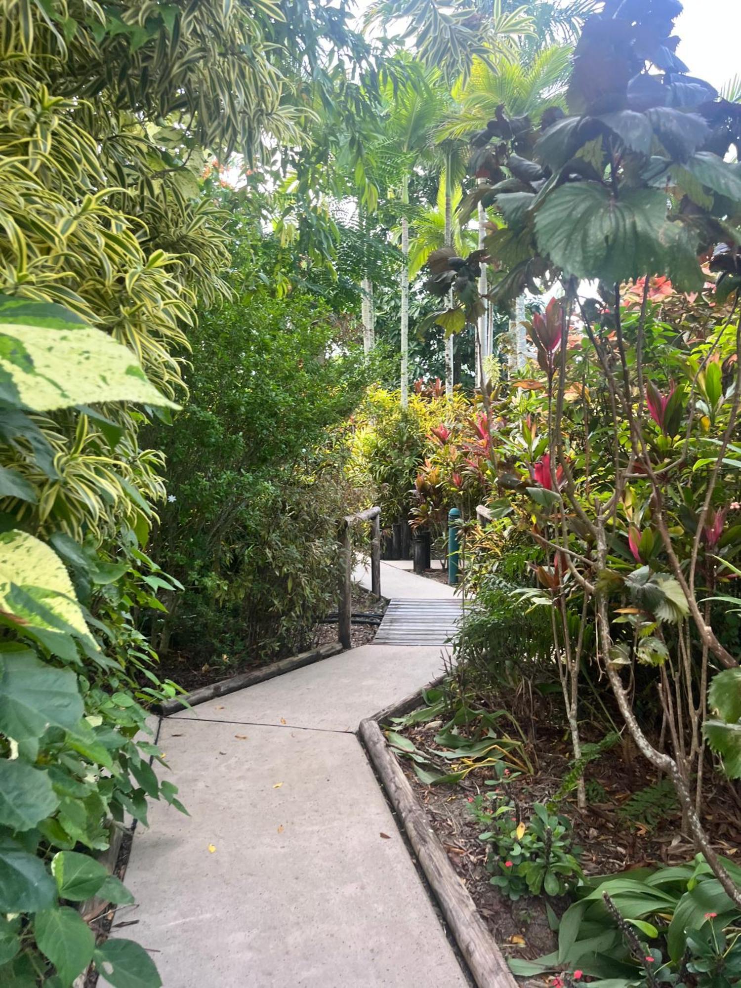The Villas Palm Cove Zewnętrze zdjęcie